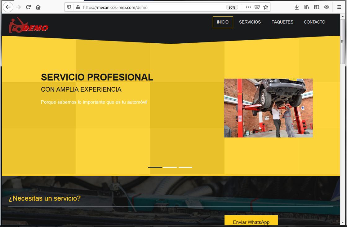 Sitio web (Plan Profesional)